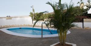 比拉夫洛尔Casa El Pino的庭院里的一个棕榈树小游泳池