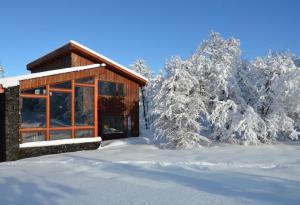 拉斯特朗卡斯Chalet Ciprés的雪中小屋,有雪覆盖的树木