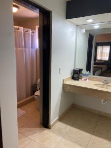埃莫西约Hotel La Finca的一间带水槽、卫生间和镜子的浴室