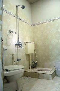 BaltitHunza Heaven Guest House的一间带卫生间和淋浴的浴室。