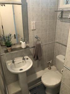 斯旺西Redcliffe Apartments Flat 7A的一间带水槽和卫生间的浴室