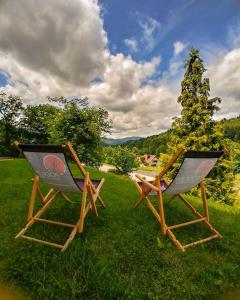 维斯瓦波迪乌姆酒店的两把椅子坐在院子里的草地上