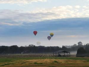 罗斯伯里Hunter Habit Cottages的一组热气球飞越一个场地