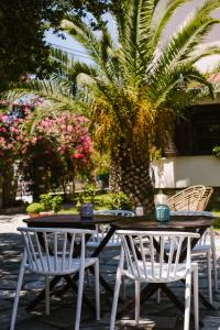 普里诺斯Hotel Kavala - Boutique Hotel的一张桌子和两把椅子,棕榈树