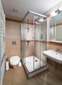 维谢格拉德Hotel Honti Wellness és Konferencia Szálloda的带淋浴、卫生间和盥洗盆的浴室