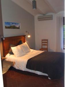 韦斯卡尔Vivienda Rural Embalse San Clemente的一间卧室配有一张大床和一把椅子