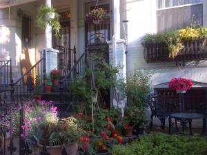 华盛顿城市公园万丽住宿加早餐酒店的一堆盆栽植物在房子的一侧