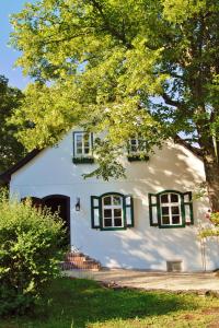 MuggendorfLANDSITZ OBERHOF petit hôtel的白色的房子,有绿色百叶窗和一棵树