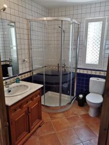 弗里希利亚纳Casa Ayo的带淋浴、盥洗盆和卫生间的浴室
