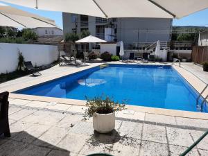卡纳斯·德·塞尤里Pantanha Studio by Trip2Portugal的一座大型蓝色游泳池,旁边是盆栽植物