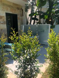 托雷斯佩基亚鲁杰里B&B Neptunia fronte mare的一个带长凳和一些植物的花园