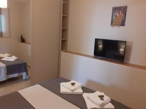 皮洛斯Vasiliki Residence的客房设有一张床和一台平面电视。