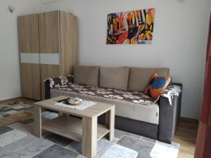 马夫罗沃Andrey Apartment的客厅配有沙发和桌子