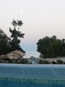 玛丽娜塞拉Azzurrosalento的游泳池里的一群岩石和树木