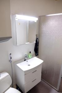 普哈圣山Lucky Ranch cabin 3的一间带水槽、卫生间和镜子的浴室