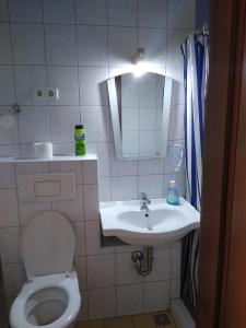 巴塔克Guest House - Batak的一间带卫生间、水槽和镜子的浴室