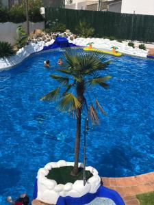 贝纳阿维斯罗斯纳兰霍斯公寓的游泳池中间的棕榈树