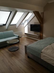 巴拉顿菲赖德巴拉哈鲁泽酒店的一间卧室配有一张床、一张沙发和一台电视。