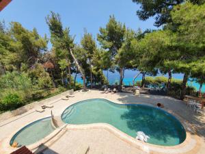 阿菲托斯Evripidis Hotel的一个带椅子和树木的游泳池以及大海