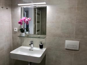 布尔诺Business Apartments的浴室设有水槽、镜子和鲜花