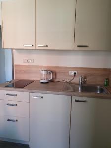 于斯德Inselkern Einraum-Apartments的厨房配有水槽和台面