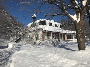 查图里彻尔普斯河酒店的雪覆盖的院子内被雪覆盖的房子