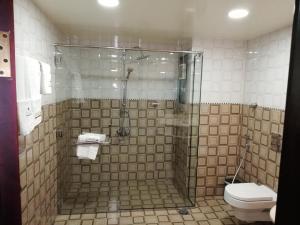阿尔布亚米Alsafa Hotel的带淋浴和卫生间的浴室
