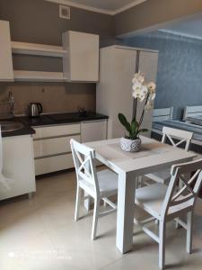 尤斯托尼莫斯基Apartamenty i Pokoje Biala Hortensja的厨房配有白色桌子和花瓶