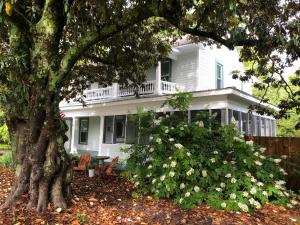 CloverMagnolia House & Gardens B&B的前面有一棵树的白色房子