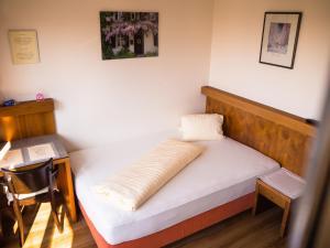 卢斯特瑙美恩德宾馆的小房间,配有一张带枕头的床