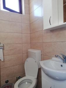特佩杰卡Trpejca Holiday Home的一间带卫生间和水槽的浴室