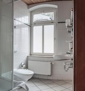 奥伊宾Land-gut-Hotel Cafe Meier的一间带卫生间、水槽和窗户的浴室