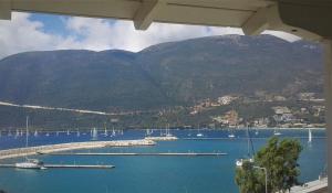 瓦西利基度假旅馆的享有海港和水中船只的景色
