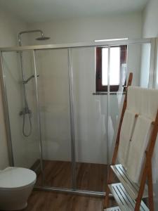 阿尔热祖尔Vila Lira的带淋浴和卫生间的浴室