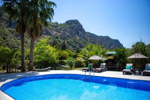 契拉勒Portalimo Lodge Hotel - Adult Only +12的一座山地游泳池