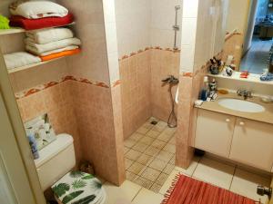 帕皮提Private Room in our Home Stay by Kohutahia Lodge, 7 min by car to airport and town的带淋浴、卫生间和盥洗盆的浴室