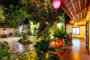 宁平Tam Coc Lotus Flower Homestay的建筑中种有植物和灯光的庭院