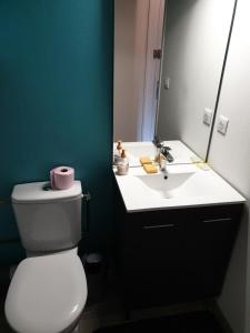 Saint-Jean-Saint-NicolasStudio refait à neuf的浴室配有白色卫生间和盥洗盆。