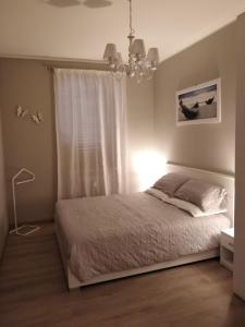 佩斯基耶拉德加达Venere的一间卧室设有一张床和一个窗口