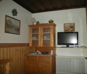格伦德尔湖Haus Schraml的一间带电视和木柜的客厅