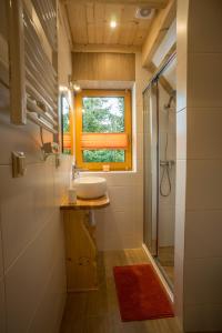 考斯赛力克Kirowy Domek的一间带水槽和淋浴的浴室以及窗户。