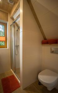 考斯赛力克Kirowy Domek的一间带卫生间和淋浴的浴室