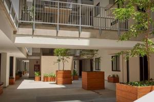 瓜达拉哈拉Guadalajara hermoso con Gym, Alberca, Billar, confortable y acogedor的建筑里空荡荡的走廊,有盆栽植物