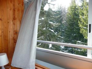 马里尔伊瓦Appartamento Sole Alto的窗户享有雪覆盖的树景