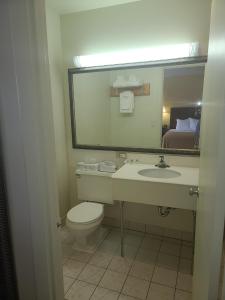 法明顿经济型旅馆 - 法明顿的一间带水槽、卫生间和镜子的浴室