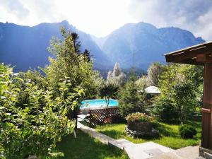 布什泰尼维拉阿鲁尼斯酒店的花园设有游泳池和山脉。