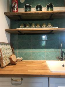 Oberndorf an der MelkGetreidekasten auf einer Lamafarm的厨房设有绿色瓷砖墙壁和水槽