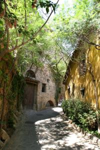 埃斯普卢加·德·隆布雷格埃斯普卢加斯酒店的一条有石头建筑和一条绿树成荫的街道的小巷