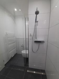 Hotel Siebenschläfer am Wasserturm的一间浴室