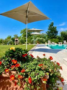 巴多利诺Poggio Bardolino的游泳池旁的遮阳伞和鲜花